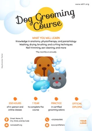 Edit my online class template