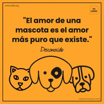 Crea contenido ahora