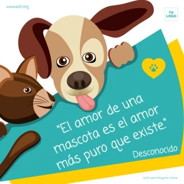 Crea contenido ahora