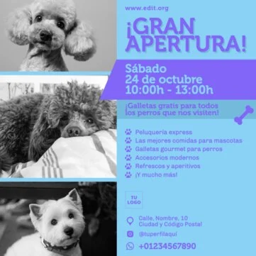 Crear diseños para tu inauguración
