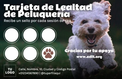 Edita una Tarjeta de Puntos