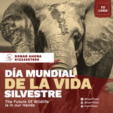 Edita un flyer de naturaleza