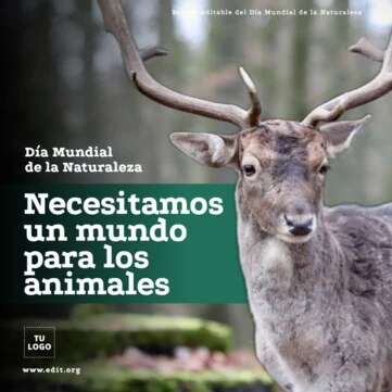 Edita un flyer de naturaleza