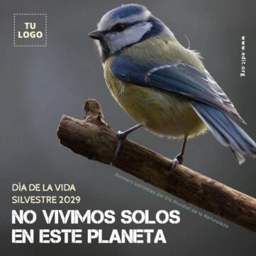 Edita un flyer de naturaleza