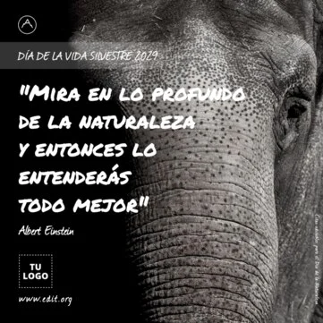 Edita un flyer de naturaleza