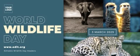 Edita la teva portada de Facebook