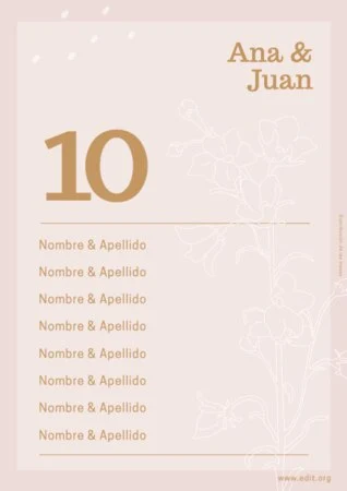 Edita un plan de asientos