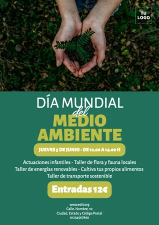 Edita un banner del Día sin Coches