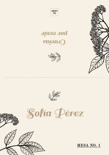 Edita un plan de asientos