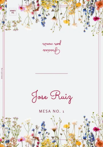 Edita un plan de asientos