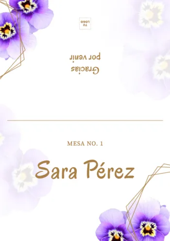 Edita un plan de asientos