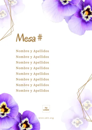 Edita un plan de asientos