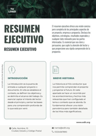 Edita un informe ejecutivo