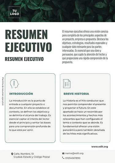 Edita un informe ejecutivo
