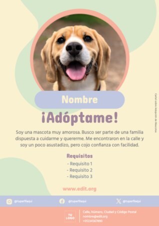 Edita un currículum