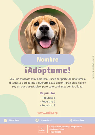 Edita un currículum
