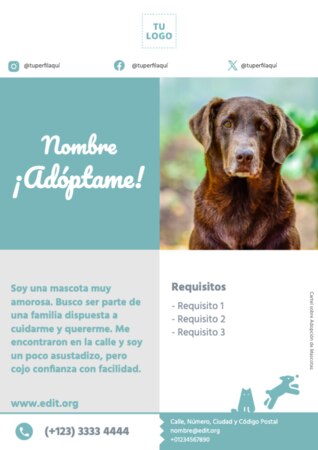 Edita un currículum