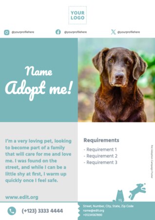 Crea un design per dog sitter