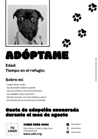 Edita un currículum