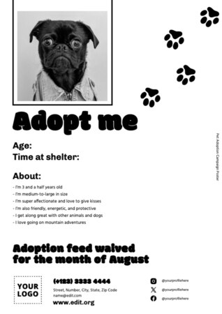 Crea un design per dog sitter