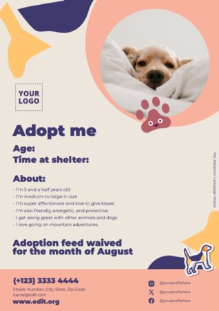 Crea un design per dog sitter