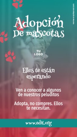 Crear Instagram Stories gratis