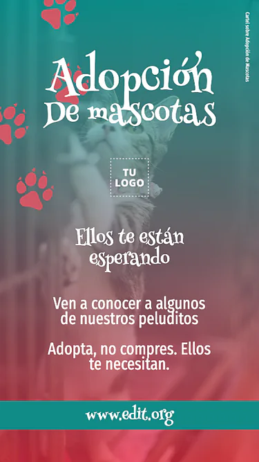 Crear Instagram Stories gratis