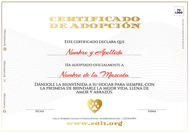 Crear mi diploma o certificado