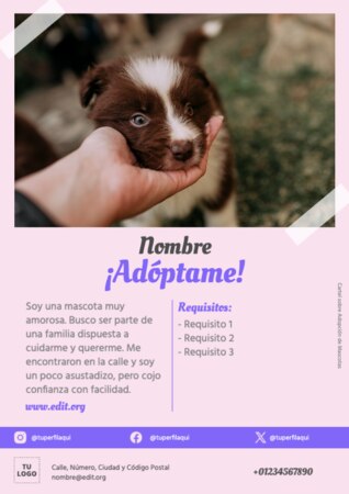 Edita una plantilla A4