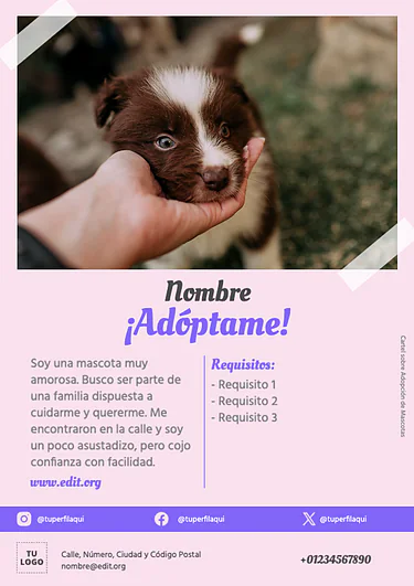 Editar una imagen de veterinaria
