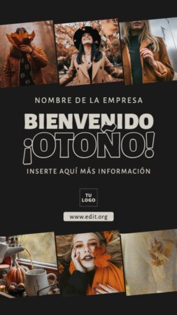 Crear Instagram Stories gratis