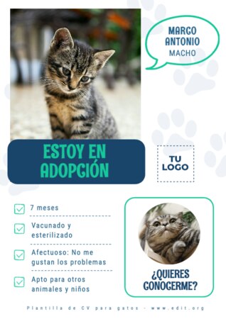 Edita una plantilla A4