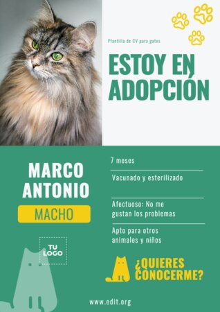 Edita una plantilla A4