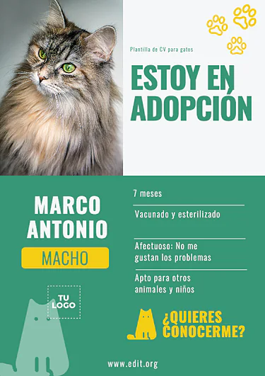 Editar una imagen de veterinaria