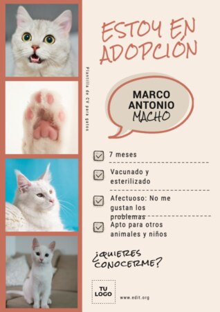 Editar una imagen de veterinaria