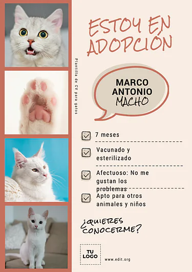 Editar una imagen de veterinaria