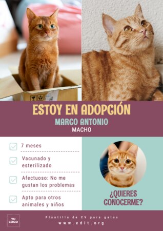 Editar una imagen de veterinaria