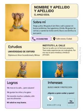 Editar una imagen de veterinaria