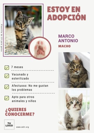 Editar una imagen de veterinaria