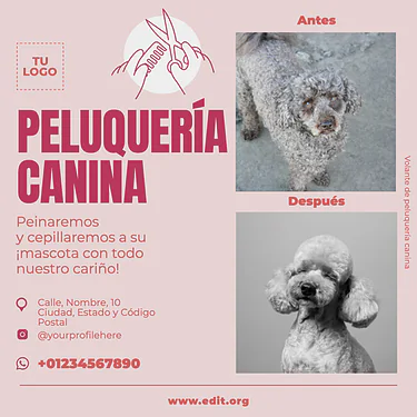 Edita un flyer de Antes y Después