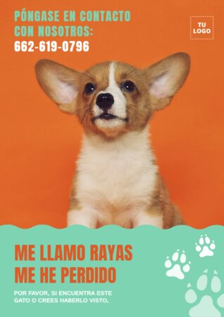 Crear cartel para tu mascota