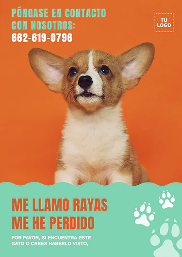 Crear cartel de Se Busca gratis