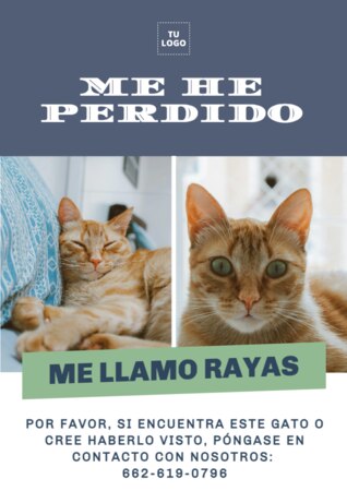 Crear cartel para tu mascota