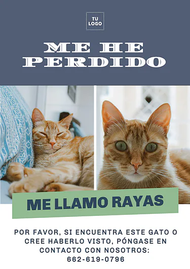 Crear cartel de Se Busca gratis