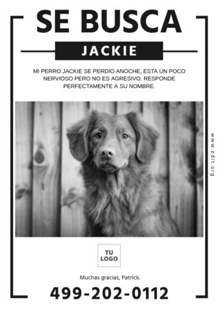 Crear cartel para tu mascota