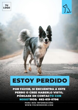 Crear cartel para tu mascota