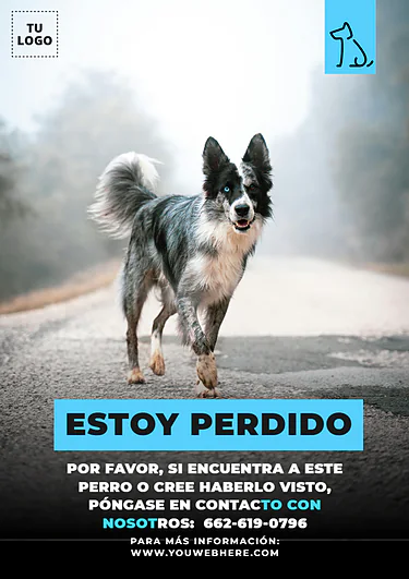 Crear cartel de Se Busca gratis