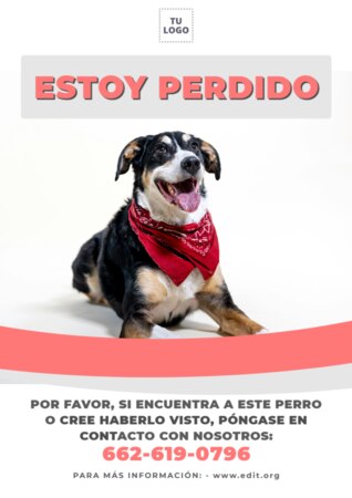Crear cartel para tu mascota