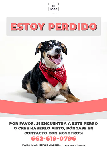 Crear cartel de Se Busca gratis