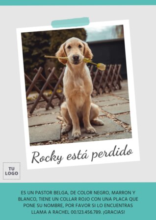 Crear cartel para tu mascota